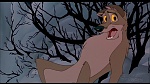Image Balto