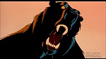 Image Balto