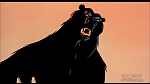 Image Balto