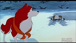 Image Balto