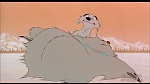 Image Balto