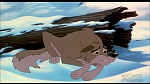 Image Balto