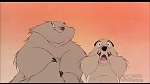 Image Balto
