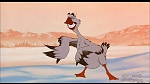Image Balto