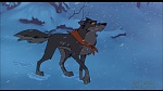 Image Balto