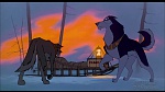 Image Balto