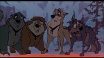 Image Balto