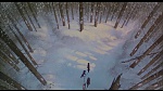 Image Balto