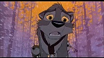 Image Balto