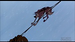 Balto picture