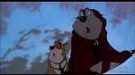 Image Balto