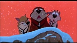 Image Balto