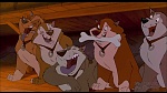 Image Balto