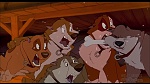 Image Balto