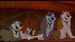 Image Balto