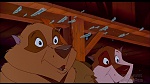 Image Balto