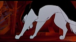 Image Balto