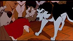 Image Balto