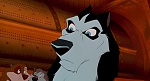 Image Balto