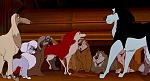 Image Balto