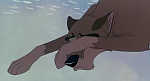 Image Balto