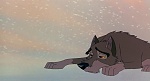 Image Balto