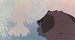 Image Balto