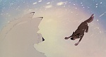 Balto picture