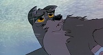 Image Balto