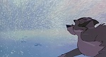 Image Balto