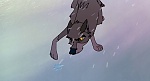 Image Balto