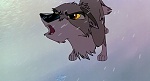 Image Balto