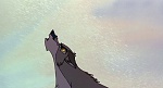 Image Balto