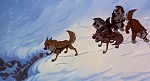Image Balto
