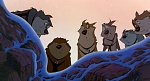 Image Balto