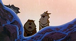Image Balto