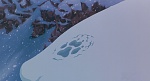 Image Balto