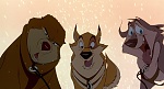 Image Balto