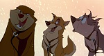 Image Balto