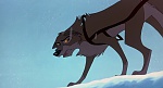 Balto picture