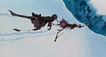 Image Balto
