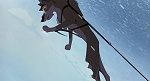 Image Balto