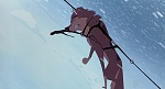 Image Balto