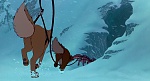 Image Balto
