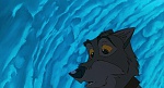Image Balto