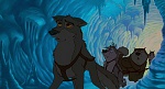 Image Balto