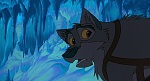 Image Balto