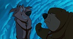 Image Balto