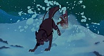 Image Balto