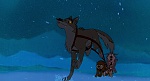 Image Balto